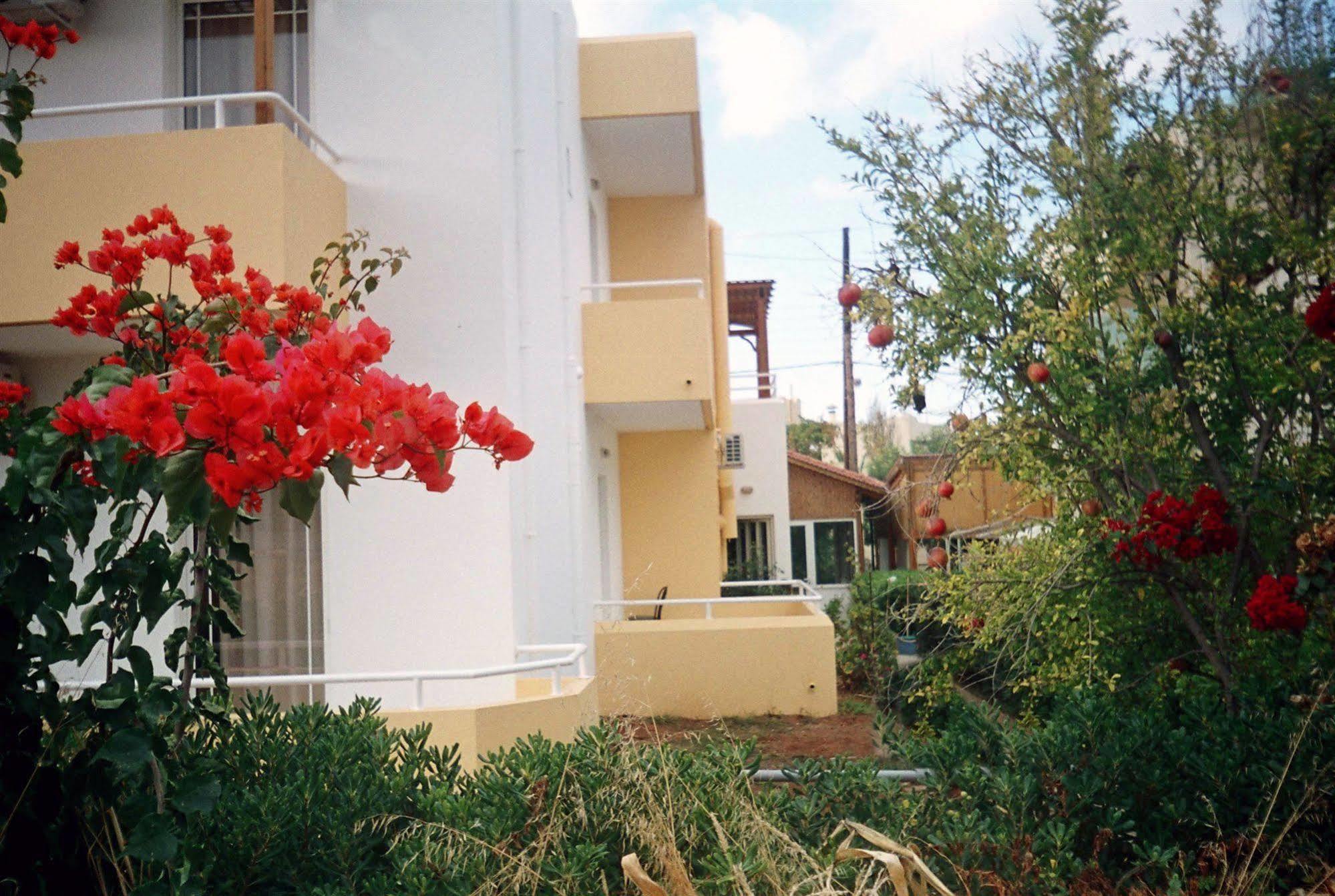Dimitra Apartments Gouves Exterior photo